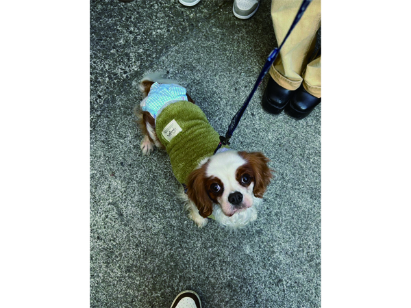 卒業生と卒業犬で卒業旅行♪